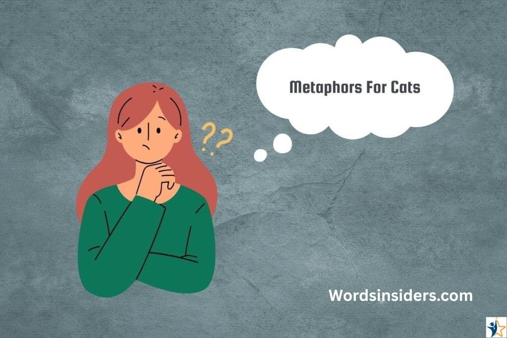 metaphors for cats