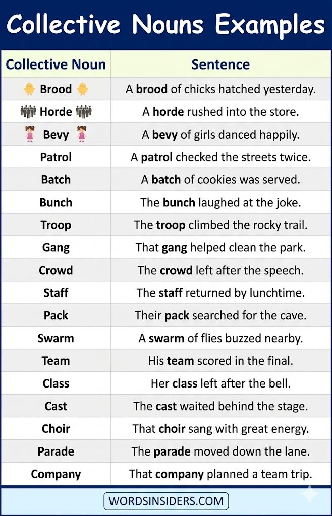 Collective Nouns Examples