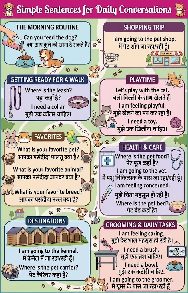 Simple Sentences for Daily Conversations