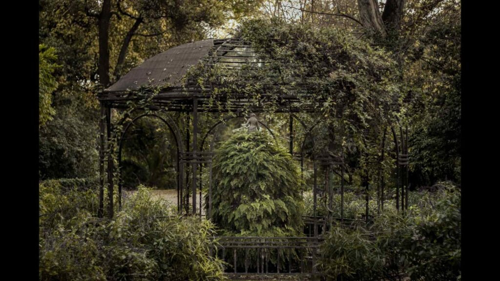 Metaphors for Loneliness