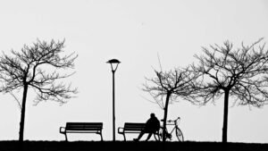 Metaphors for Loneliness