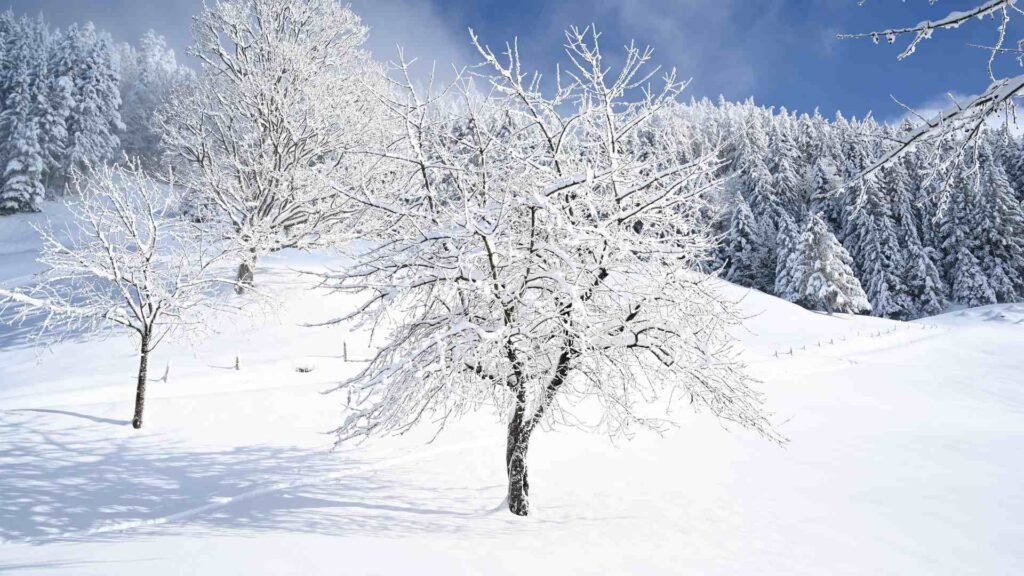 Snow Metaphors