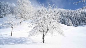 Snow Metaphors